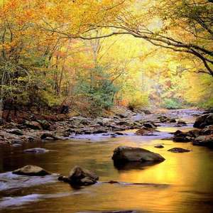 男友吸女奶头视频
